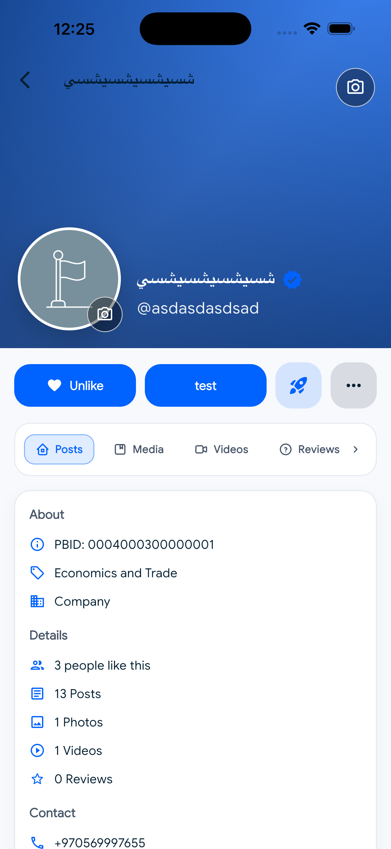 Sngine Timeline – Flutter Social Networking App (Android & iOS) mobile preview